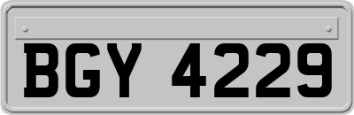 BGY4229
