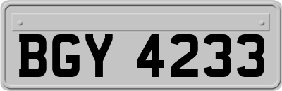 BGY4233