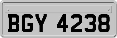 BGY4238
