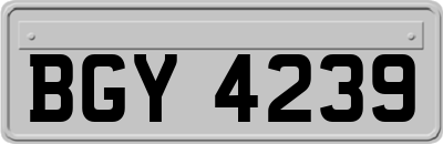BGY4239