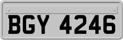 BGY4246