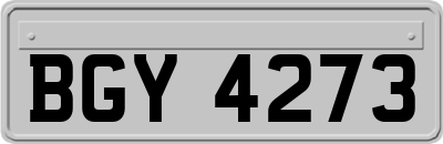 BGY4273
