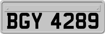 BGY4289