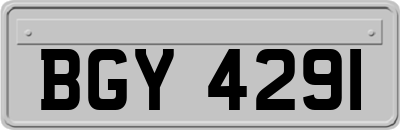 BGY4291