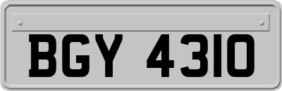 BGY4310