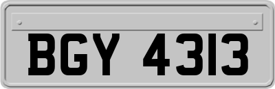 BGY4313