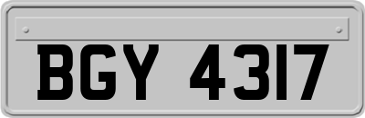 BGY4317