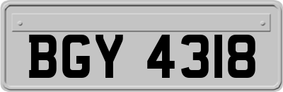 BGY4318