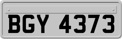 BGY4373