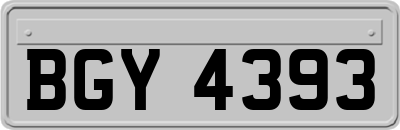 BGY4393