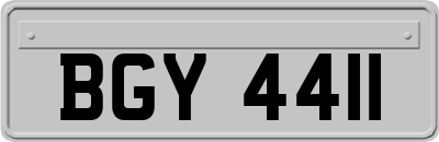 BGY4411