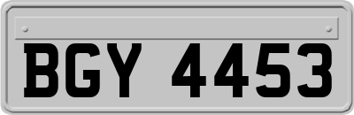 BGY4453