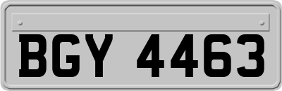 BGY4463