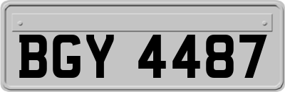 BGY4487