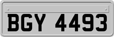 BGY4493