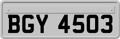 BGY4503