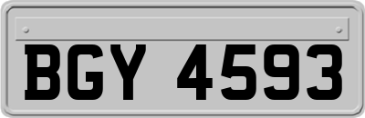 BGY4593