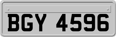 BGY4596