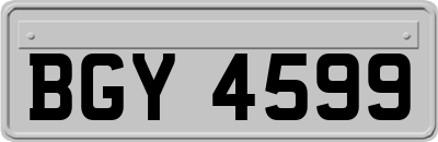 BGY4599