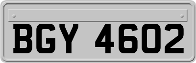 BGY4602