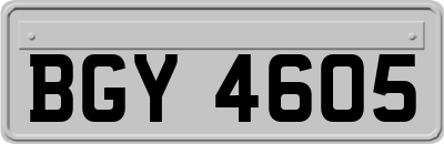 BGY4605