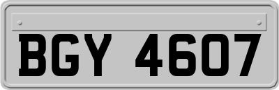 BGY4607