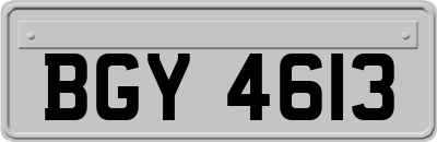 BGY4613