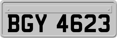 BGY4623