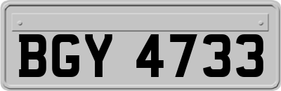 BGY4733