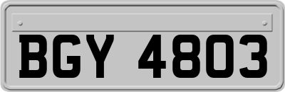 BGY4803