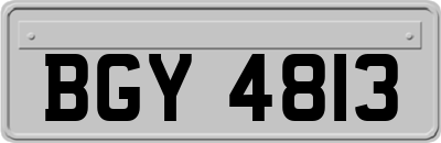 BGY4813