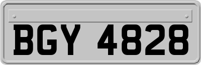 BGY4828