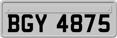 BGY4875