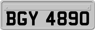 BGY4890
