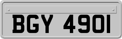 BGY4901