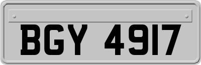 BGY4917