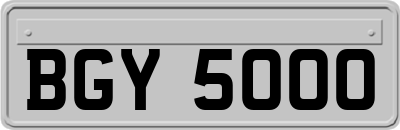BGY5000