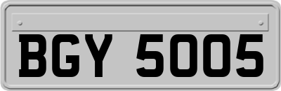 BGY5005