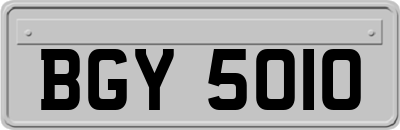BGY5010
