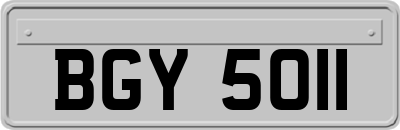 BGY5011