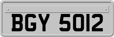 BGY5012