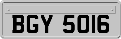 BGY5016