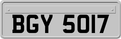 BGY5017