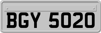 BGY5020