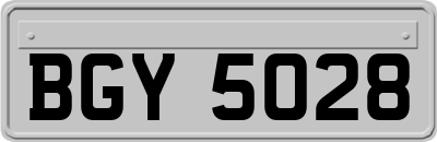 BGY5028