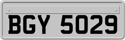 BGY5029