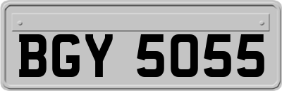 BGY5055