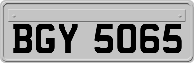 BGY5065
