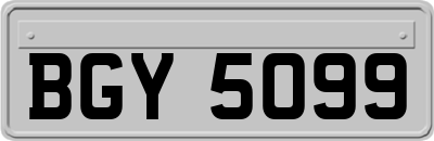 BGY5099