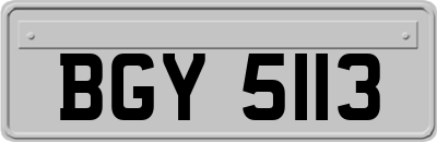 BGY5113